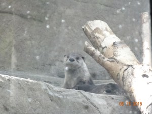 I'm trying to get my beauty sleep here, whatcha looking at?