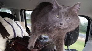 Are we there yet Mom?