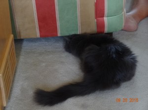 Don't let the couch slam on my head mom!