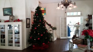 Set up for Christmas