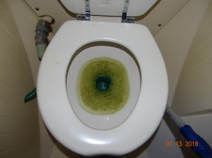Toilet, ummm Yummy!