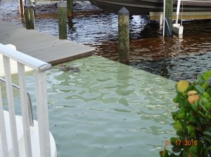 The cement pad to our docks