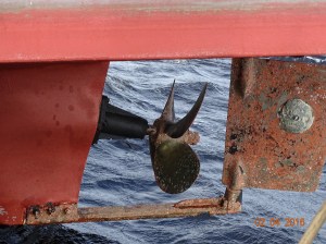 Needs a little paint