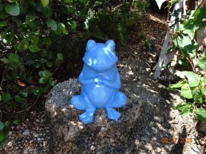 Mr. Frog - So Handsome :)