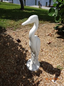 Mr. Heron, I'm watching you Lizard!