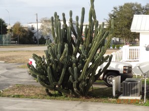 See the truck it hides?