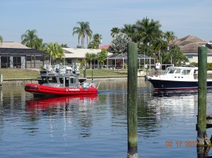 Here they come, slow....slow.....