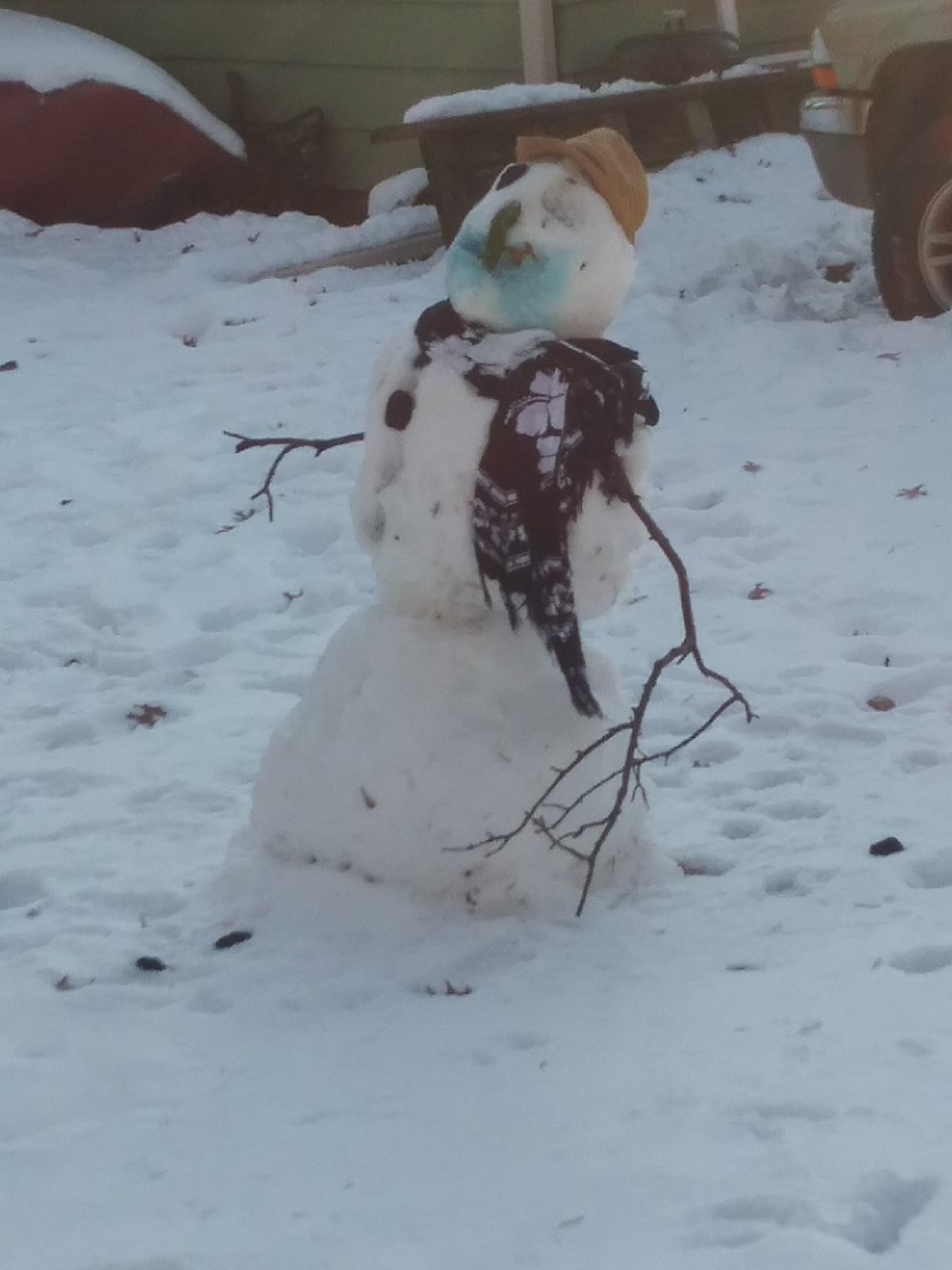 20191209 sad snowman