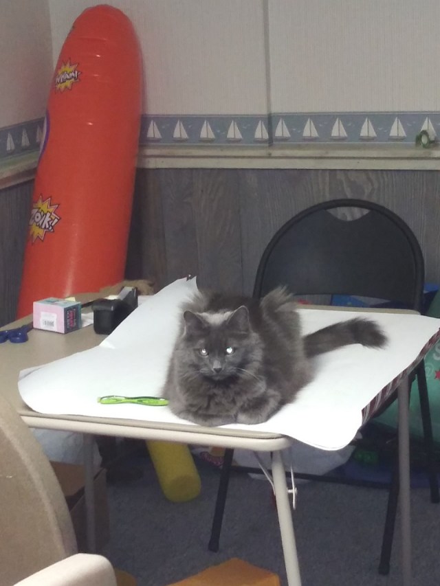 20191220 My gift wrapping helper