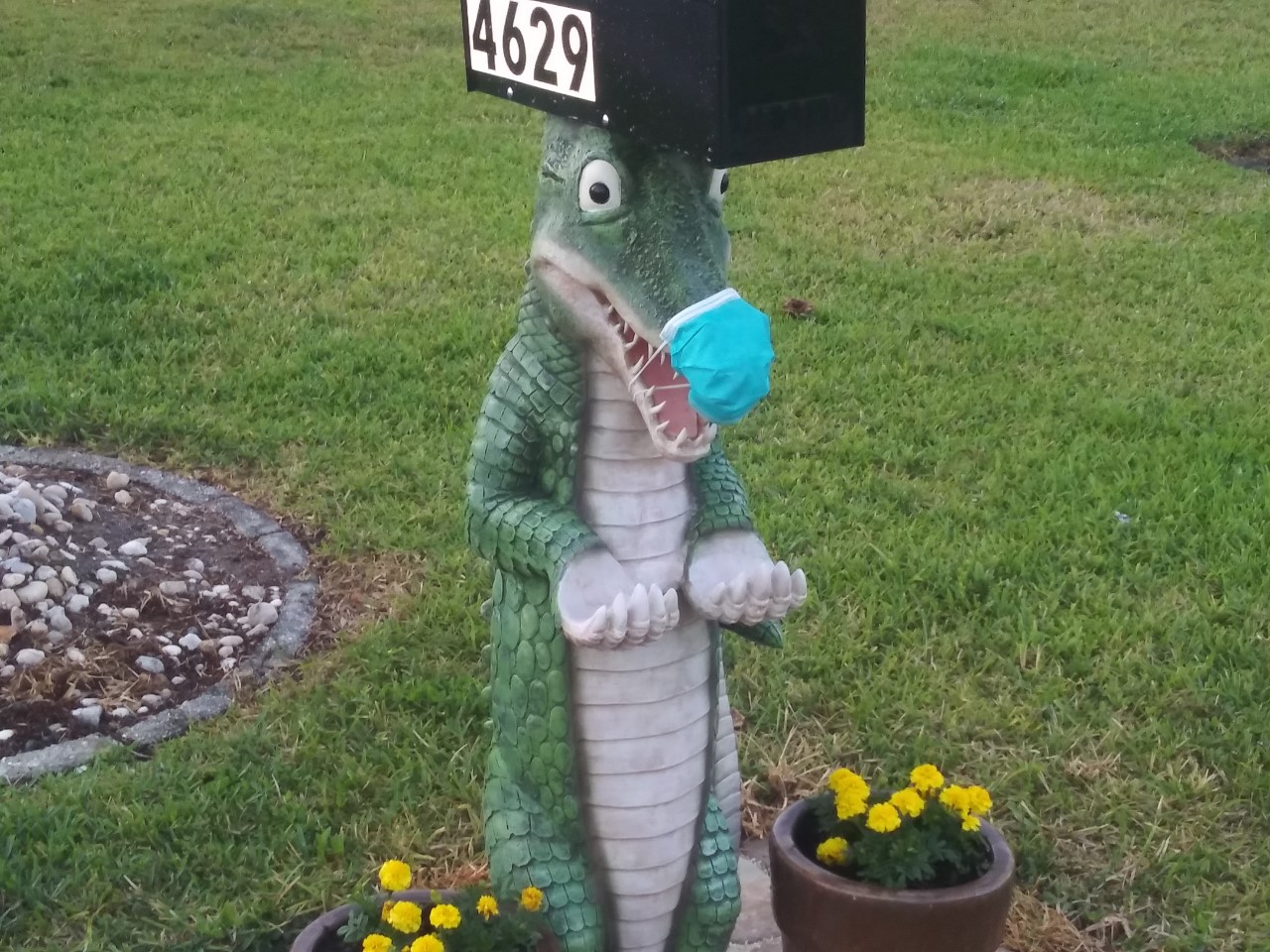 20200408 Aligator with mask 2