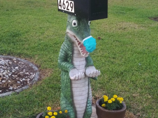 20200408 Aligator with mask 2